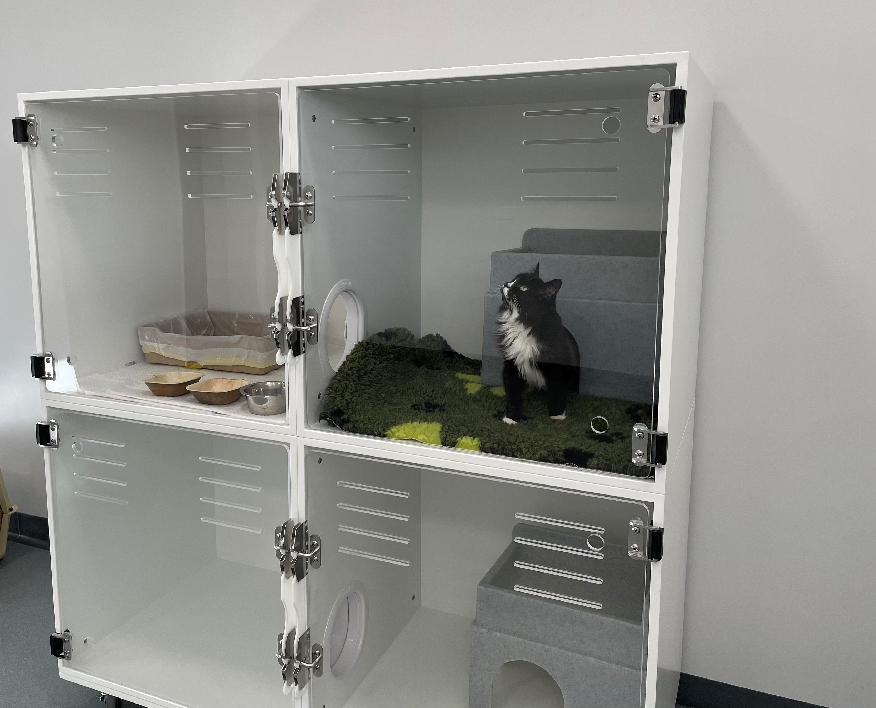 Cat Condo, portal, låge mellem bure2